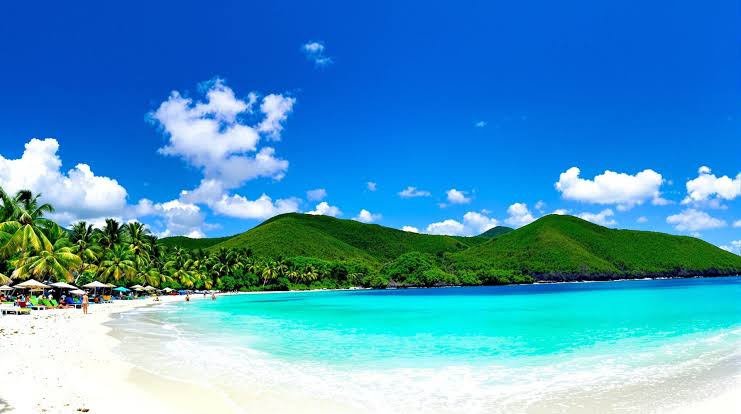 meilleure période pour visiter la Martinique